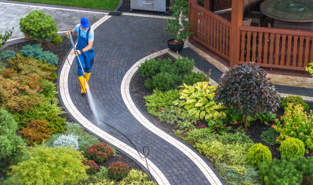 Best Best Pressure Washing Companies  in Rosemont, PA