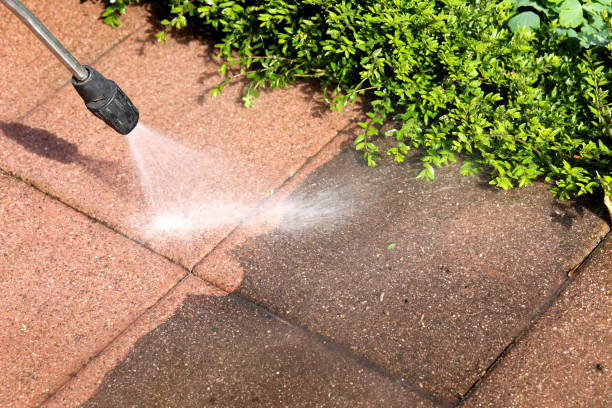 Best Exterior Home Cleaning  in Rosemont, PA